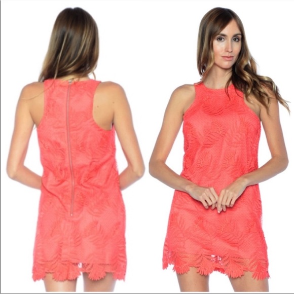 Lovers + Friends Caspian Coral Dress - Picture 5 of 14